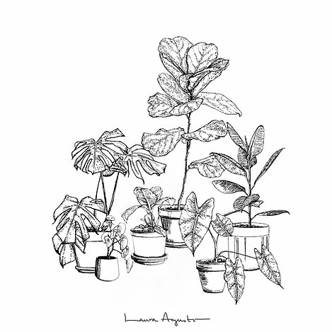 Plants (XS)