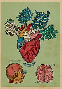 Corazón florío