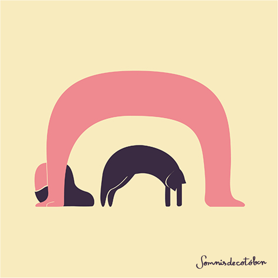 Bow (XS)