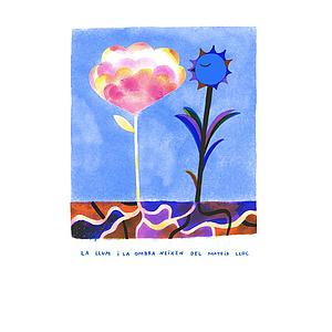 Llum i ombra