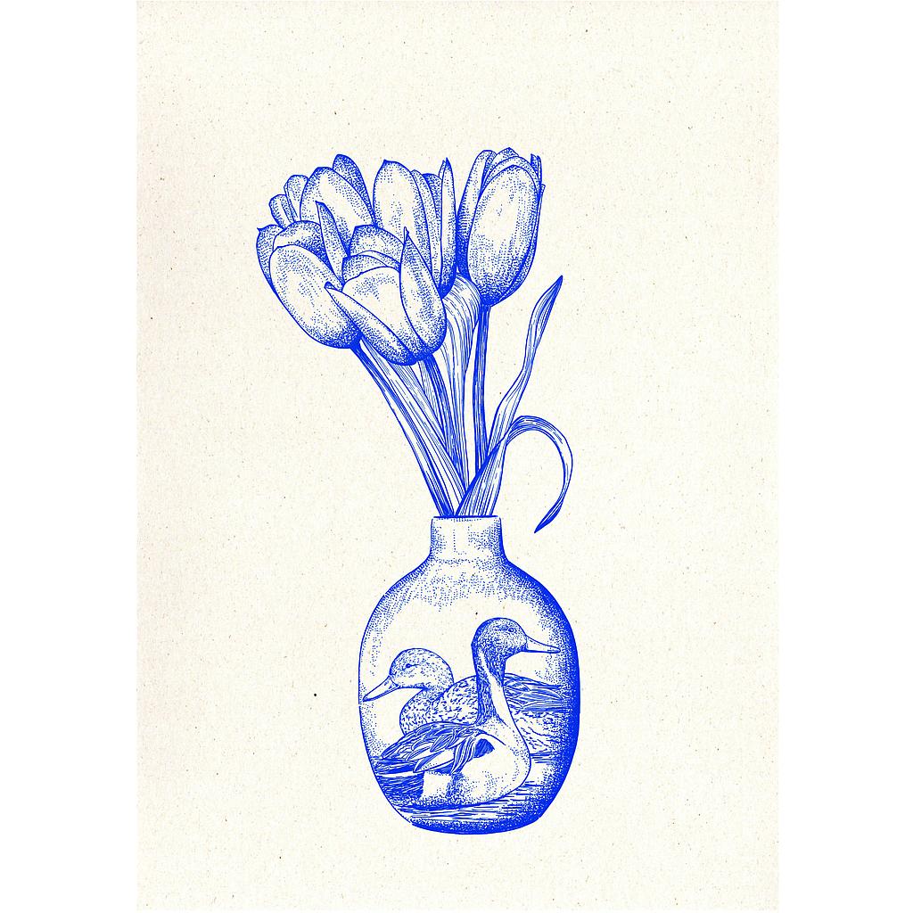 Tulip