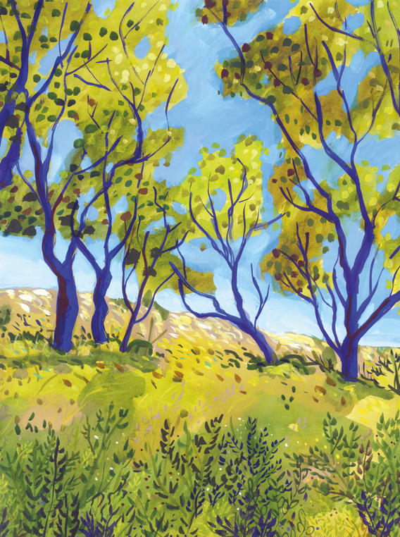 Oak trees