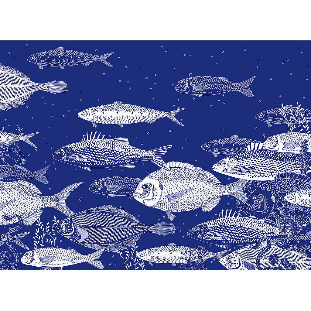 Atlantic blue (S)