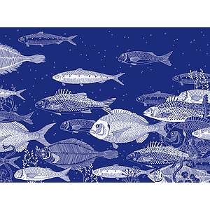 Atlantic blue (S)