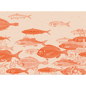 Atlantic red (S)