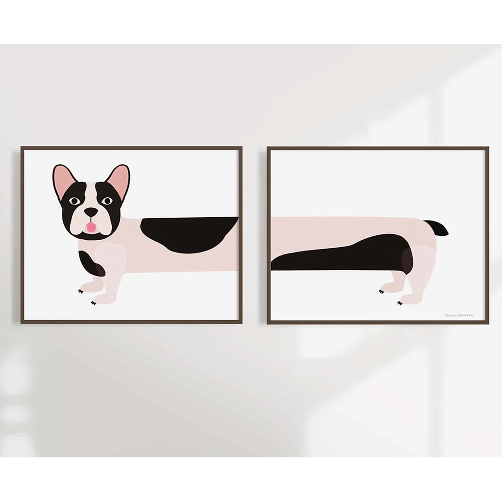 Bouledogue Français