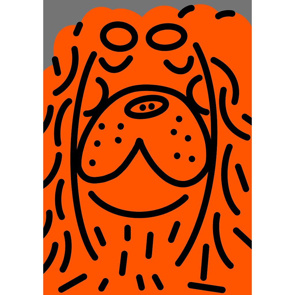 Dog orange