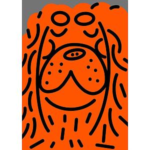 Dog orange