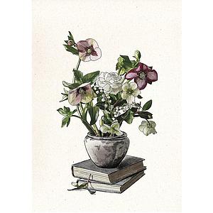 Botanical Study (XS)