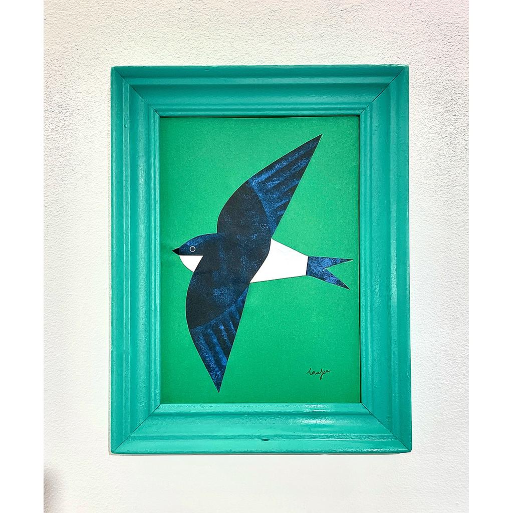 Avión común con marco verde