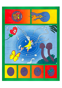 MEDEM Maria - Faut-il en finir avec la nature