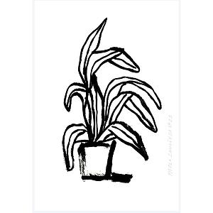 Planta casera - Postal