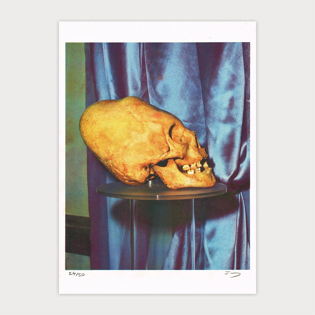 Skull Study