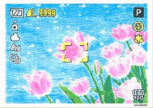 BJORNSTEN Luca - Flowers.jpg