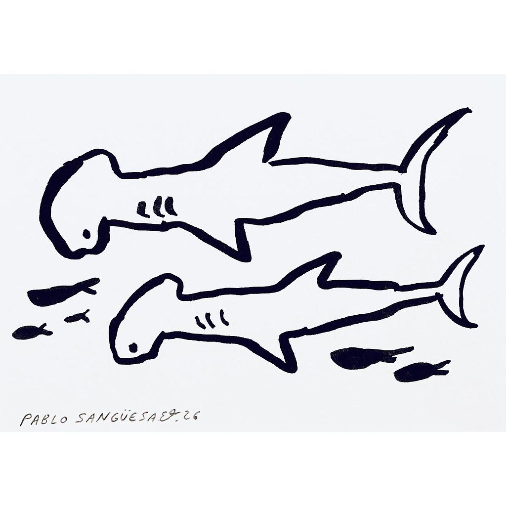 Tiburones Martillo