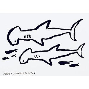 Tiburones Martillo
