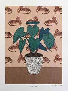 Fauna y flora