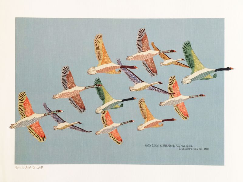 Pájaros (M)