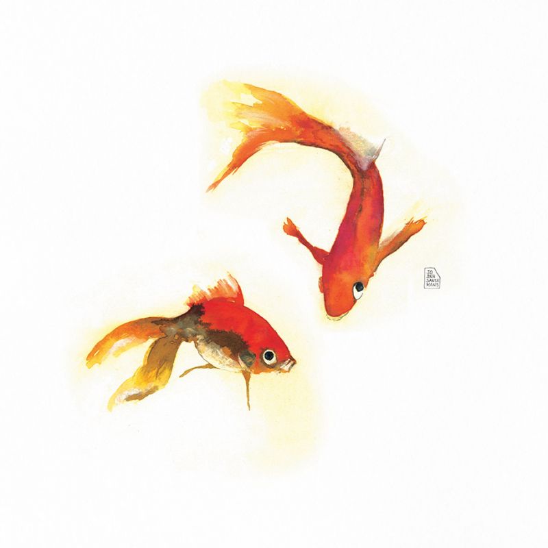 Peces