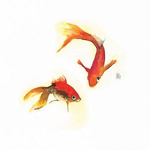 Peces