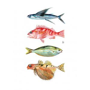 4 peixos